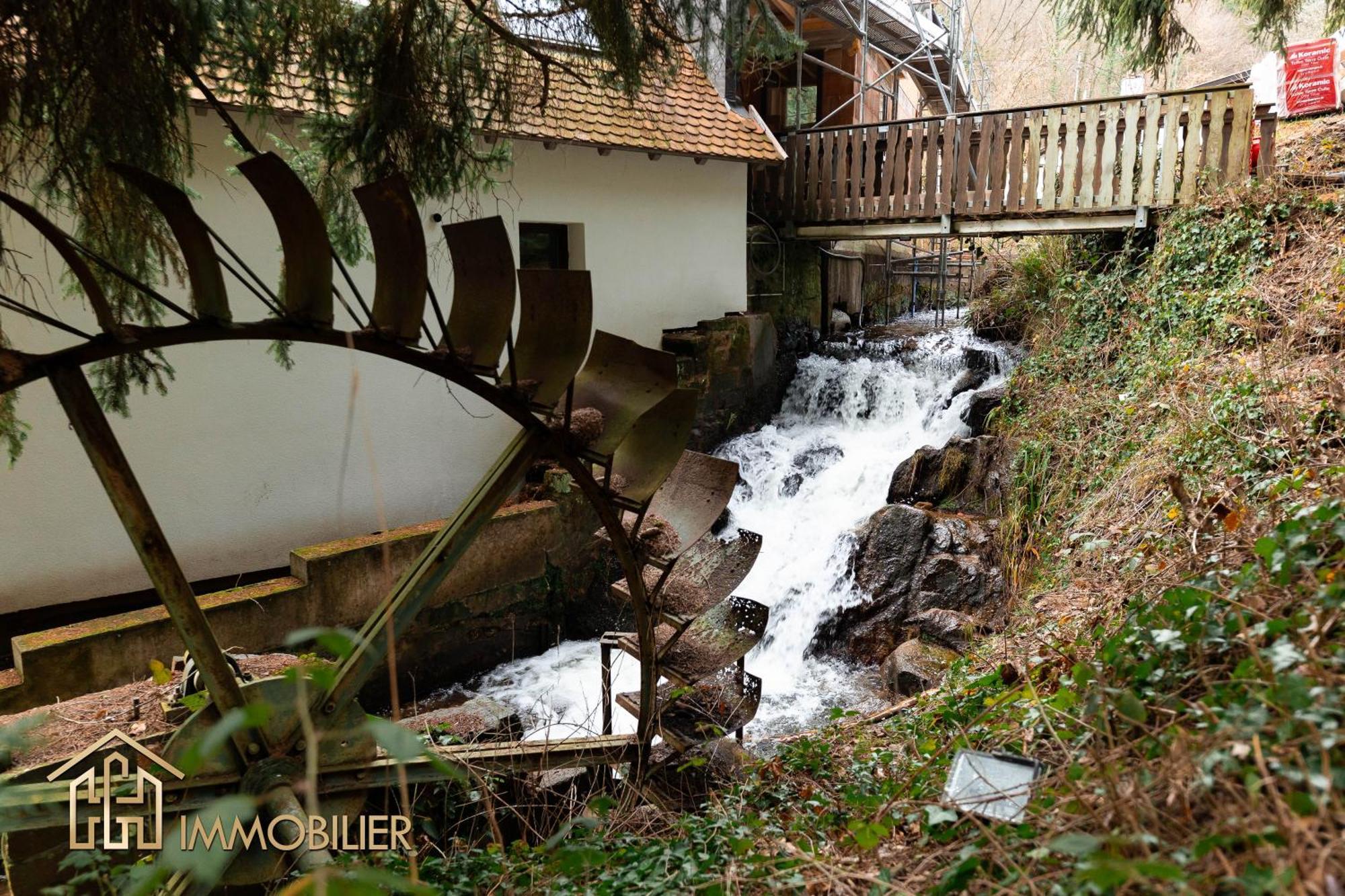 Domaine De La Source Gites 4 Personnes Au Calme Barr Esterno foto